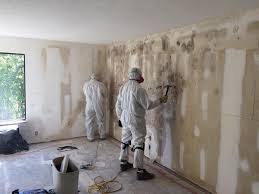 Best Comprehensive Air Testing for Mold Contaminants in Hoffman Estates, IL